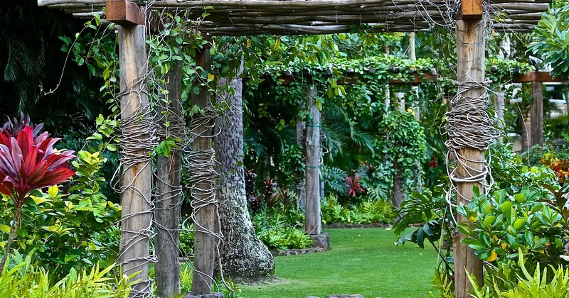 Pourquoi les jardins privés de Kyoto sont les plus belles surprises